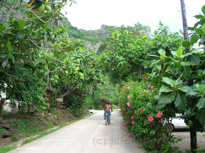 12DSCN1933.JPG - Visiter Maupiti est un vritable retour aux sources dans une le reste  l'tat nature.