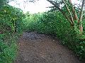 3DSCN1852
