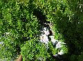 15DSCN1674