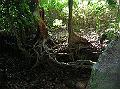 18DSCN1829