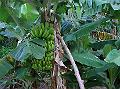 25DSCN1846