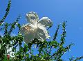 38DSCN1821