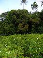 5DSCN1644