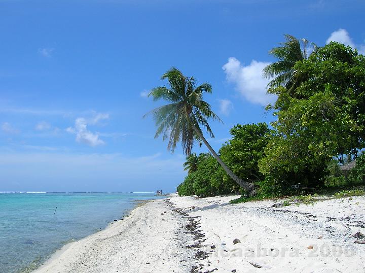 57DSCN1752.JPG - Un peu de "laisse de mer" sur cette plage juste pour montrer que le nettoyage est inutile