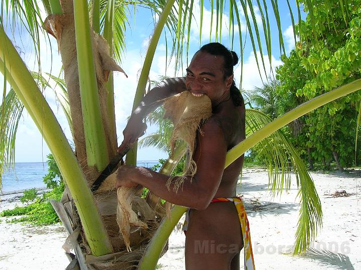 61DSCN1768.JPG - Ce n'est pas une barbe, c'est de la fibre de coco qui va servir de filtre pour extraire le lait. http://www.fao.org/WAIRdocs/x5425f/x5425f08.htm