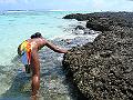 11DSCN1675