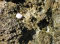 12DSCN1676