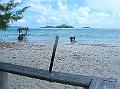 66DSCN1767